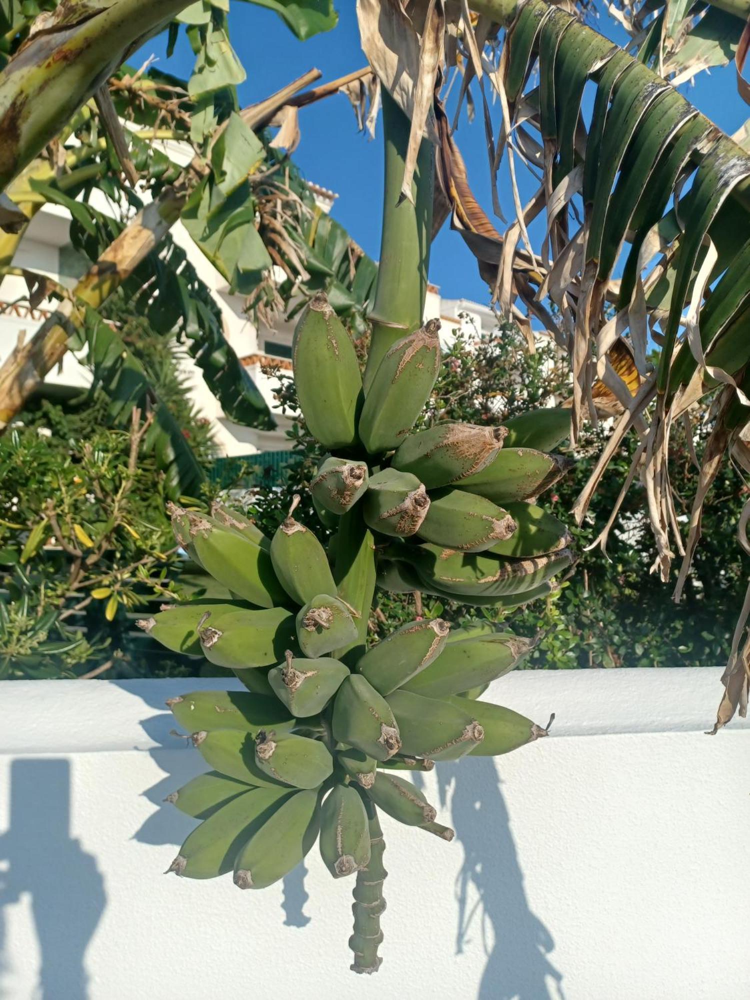 Ericeira Su Villa'S Exterior photo