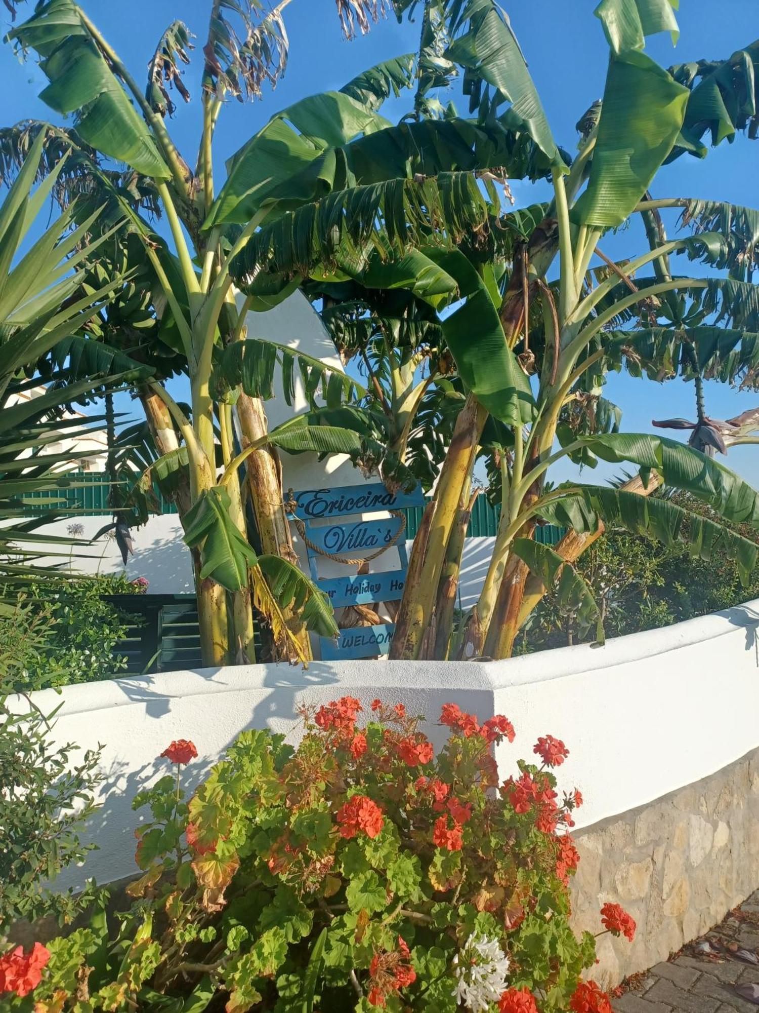Ericeira Su Villa'S Exterior photo