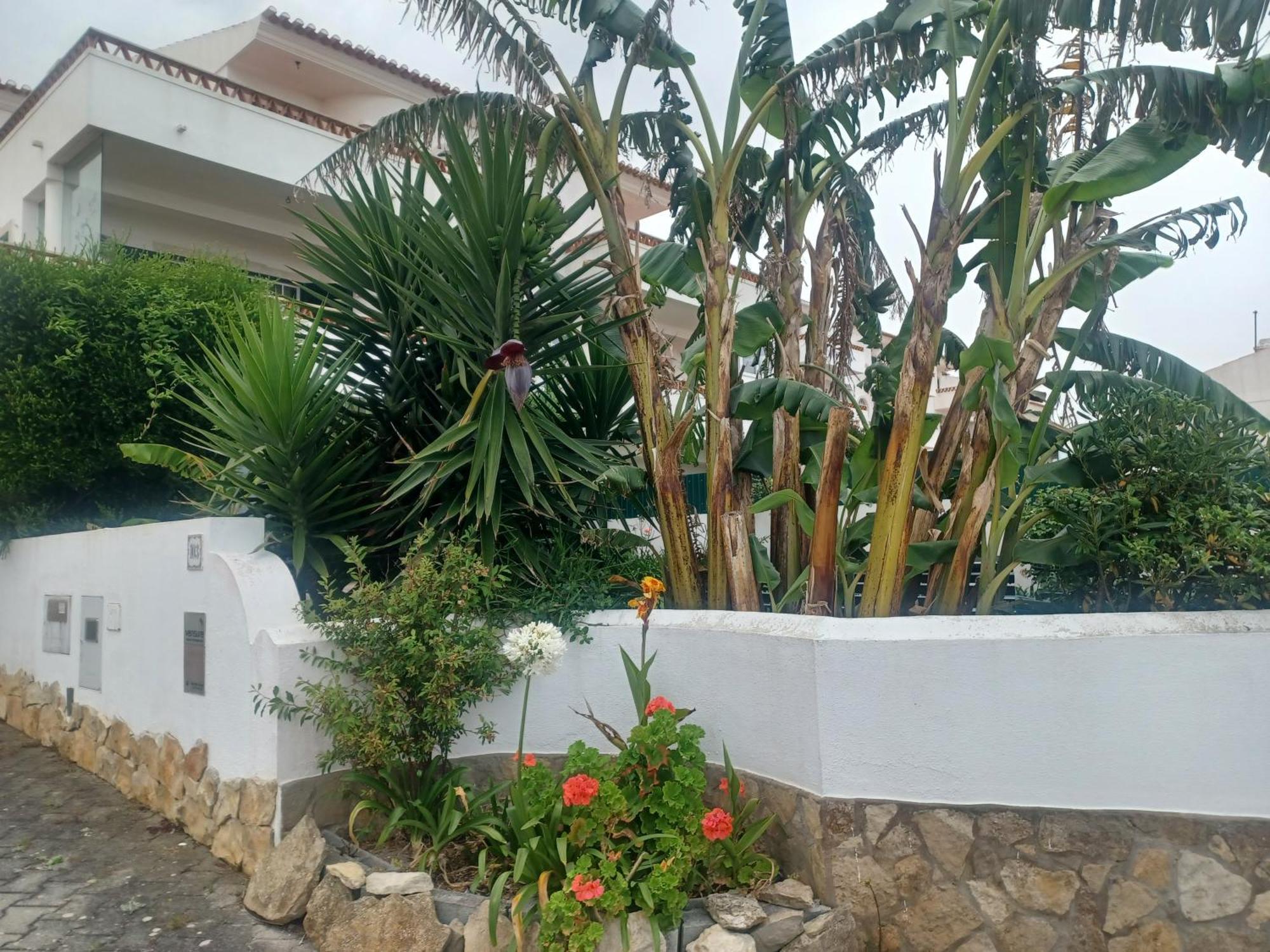 Ericeira Su Villa'S Exterior photo